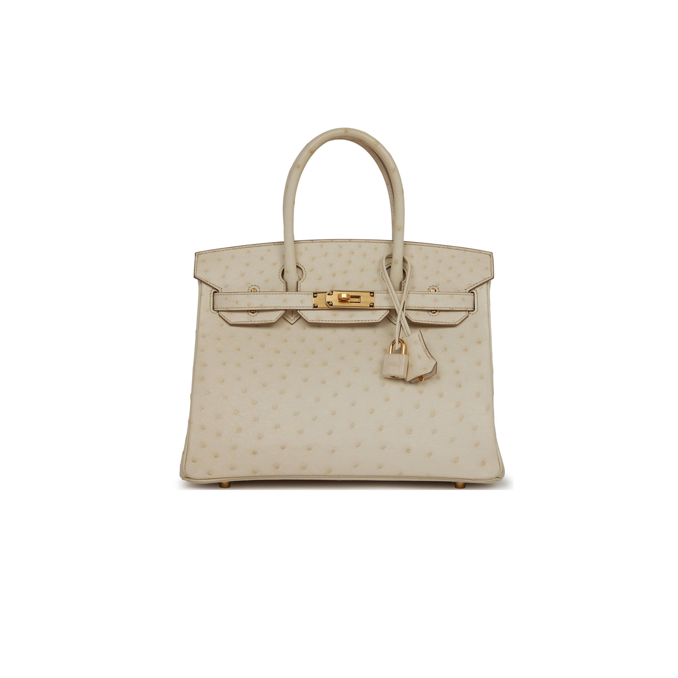 HERMES MASTER BIRKIN 30 OSTRICH PALLADIUM HARDWARE (30*22*16cm) HERMES MASTER BIRKIN 30 OSTRICH PALLADIUM HARDWARE (30*22*16cm)